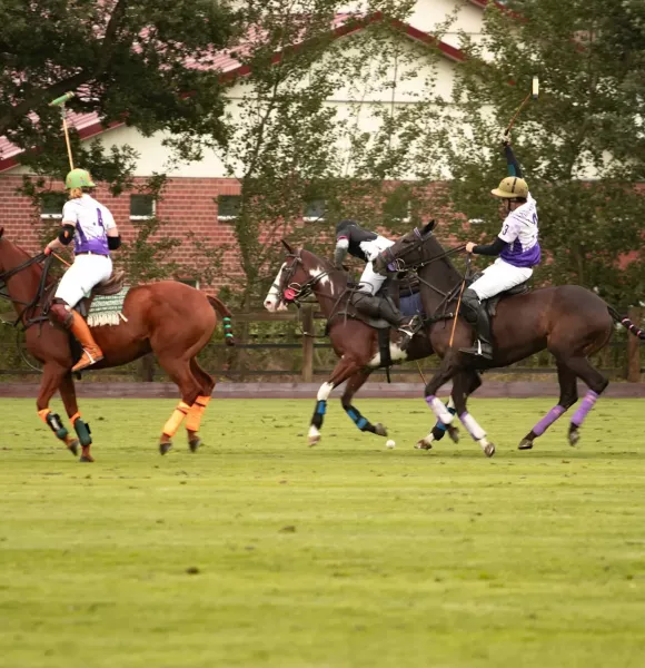 Reit- und Polo Verein Niederrhein